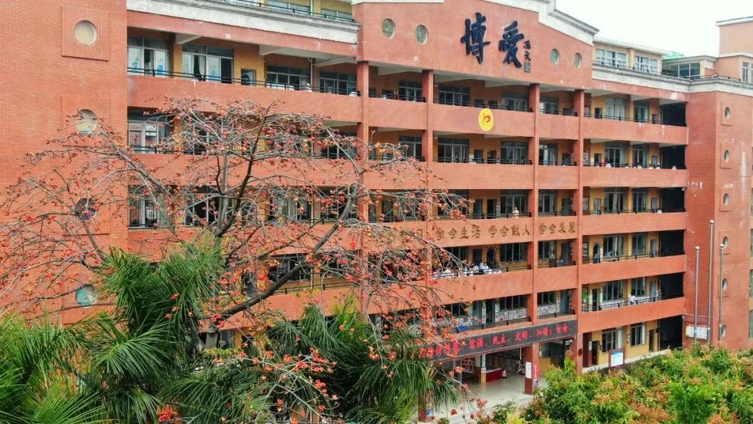 祥聚案例分享|博愛(ài)心育，以愛(ài)育愛(ài)，清遠(yuǎn)市博愛(ài)學(xué)校